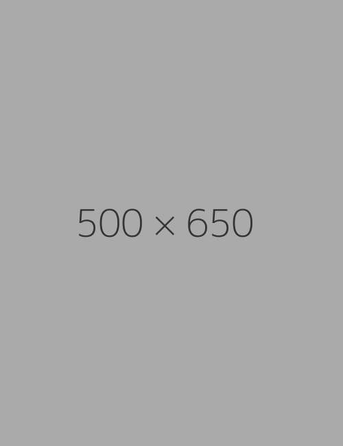 500x650